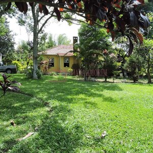 Sitio na Ilha do Bororé - São Paulo-SP