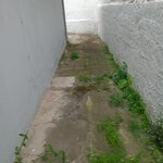 Imagem 20 de 21